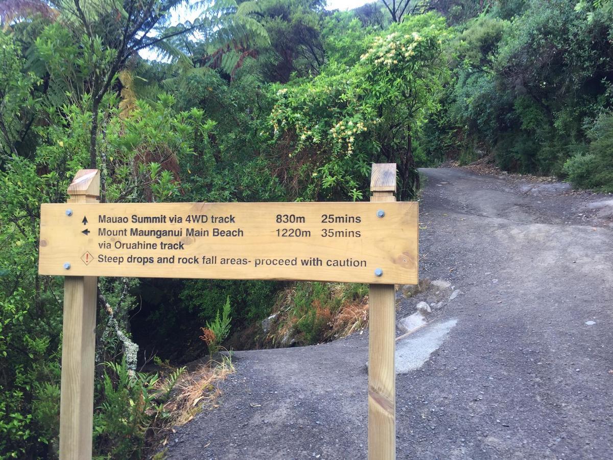 Eleven_At_Mauao Lägenhet Mount Maunganui Exteriör bild